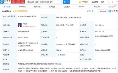 信息系統(tǒng)集成服務(wù) 構(gòu)建高效數(shù)字化生態(tài)的基石